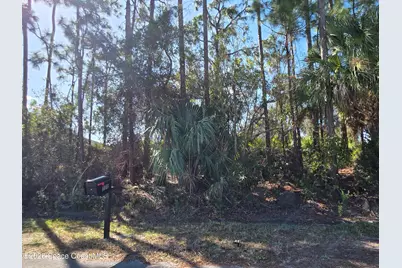 770 Montrose Street SE, Palm Bay, FL 32909 - Photo 1