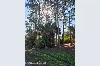 770 Montrose Street SE, Palm Bay, FL 32909 - Photo 6