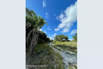4 Lots Unknown Street SE, Palm Bay, FL 32909 - Photo 6