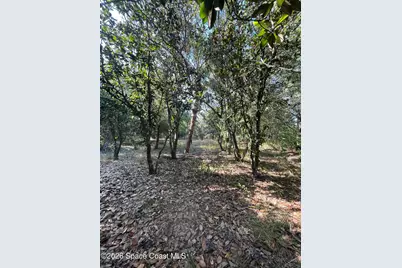4 Lots Unknown Street SE, Palm Bay, FL 32909 - Photo 12