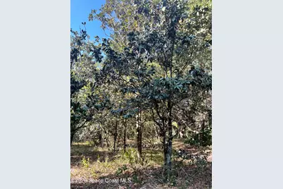 4 Lots Unknown Street SE, Palm Bay, FL 32909 - Photo 10