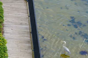 480 Sail Ln, Merritt Island, FL 32953 - Photo 40