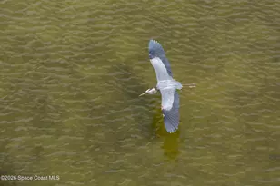 480 Sail Ln, Merritt Island, FL 32953 - Photo 52