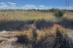 2710 Widmer Ave SW, Palm Bay, FL 32908 - Photo 4