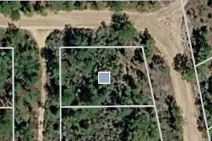 116 Manchester Ave, Interlachen, FL 32148 - Photo 1