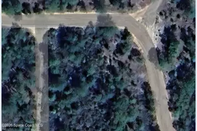 116 Manchester Avenue, Interlachen, FL 32148 - Photo 2