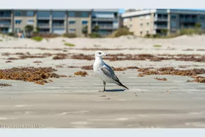 606 Shorewood Drive #C308, Cape Canaveral, FL 32920 - Photo 36