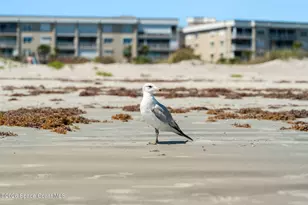 606 Shorewood Dr, Cape Canaveral, FL 32920 - Photo 36