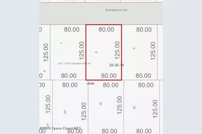 742 Burgess Street SW, Palm Bay, FL 32908 - Photo 2