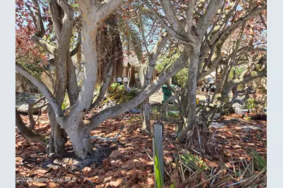 1350 S Atlantic Avenue, Cocoa Beach, FL 32931 - Photo 8