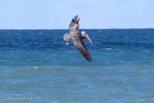 2084 Seawind Ct, Melbourne, FL 32903 - Photo 36