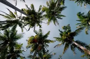 5134 Madras Dr NW, Palm Bay, FL 32907 - Photo 30