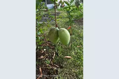 3403 Cloudberry Place, Melbourne, FL 32940 - Photo 34