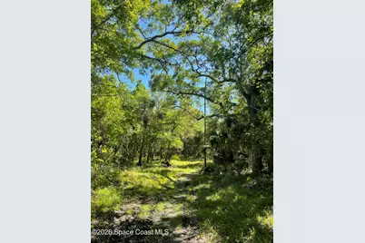 0 Harrison Road, Mims, FL 32754 - Photo 6