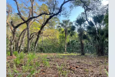 0 Harrison Road, Mims, FL 32754 - Photo 4