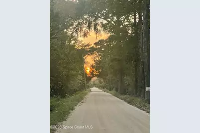 0 Harrison Road, Mims, FL 32754 - Photo 8