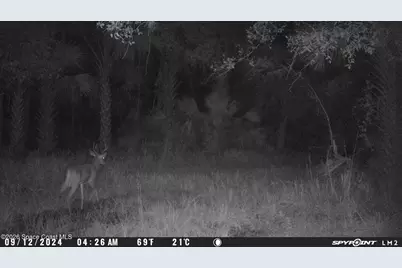 0 Harrison Road, Mims, FL 32754 - Photo 10