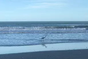 2100 N Atlantic Ave, Cocoa Beach, FL 32931 - Photo 4