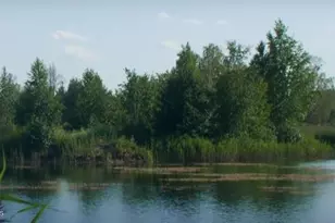 5125 Madras Ave NW, Palm Bay, FL 32907 - Photo 20