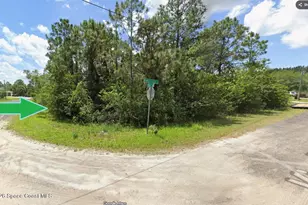 705 Kingfisher Street SW, Palm Bay, FL 32908 - Photo 1