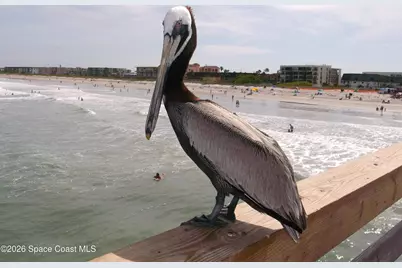 3210 N Harbor City Boulevard #223, Melbourne, FL 32935 - Photo 8