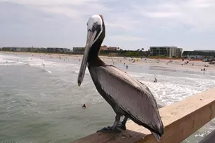 3210 N Harbor City Blvd, Melbourne, FL 32935 - Photo 8