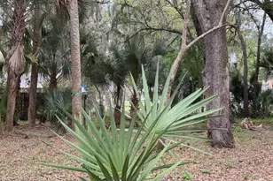 0 Grapefruit Road SE, Palm Bay, FL 32909 - Photo 1