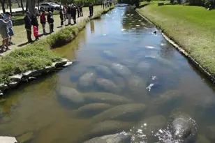 1710 Mahogany Ct NW, Melbourne, FL 32907 - Photo 16