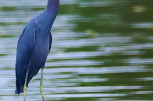 1710 Mahogany Ct NW, Melbourne, FL 32907 - Photo 18