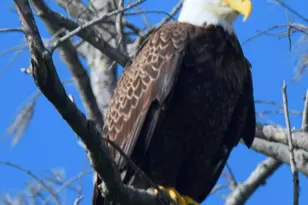 1710 Mahogany Ct NW, Melbourne, FL 32907 - Photo 12