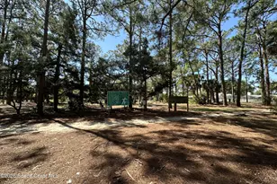 816 Angela Ave, Rockledge, FL 32955 - Photo 28