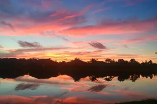 1050 Starling Way, Rockledge, FL 32955 - Photo 40