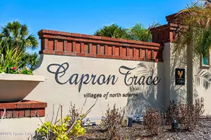 3162 Siderwheel Dr, Rockledge, FL 32955 - Photo 42