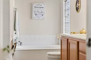 3547 Plume Way SE, Palm Bay, FL 32909 - Photo 56