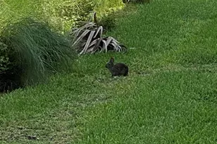 199 Hwy A1A, Satellite Beach, FL 32937 - Photo 24