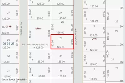 2178 Begonia Avenue SW, Palm Bay, FL 32908 - Photo 2