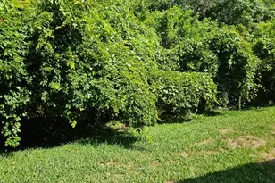 180 Portside Ave, Cape Canaveral, FL 32920 - Photo 18