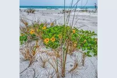 205 Melaleuca Drive, Satellite Beach, FL 32937 - Photo 60