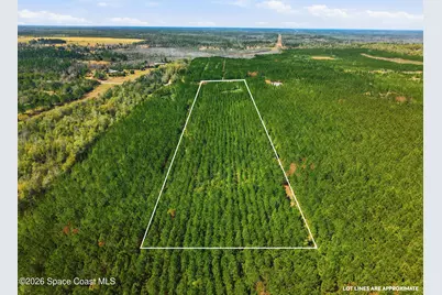 23287 NW Church Road, Altha, FL 32421 - Photo 12