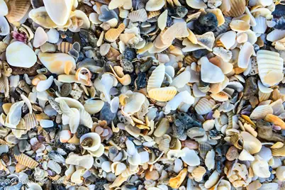 1630 Pine Street, Melbourne Beach, FL 32951 - Photo 42