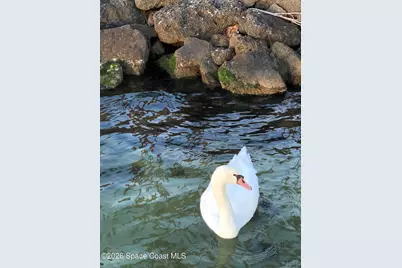 261 Cape Shores Circle #18-F, Cape Canaveral, FL 32920 - Photo 42