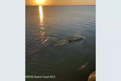 261 Cape Shores Circle #18-F, Cape Canaveral, FL 32920 - Photo 40