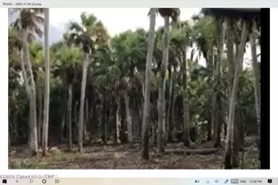 O00 E Unknown, Merritt Island, FL 32953 - Photo 1