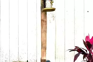 1415 Litchfield Dr, Melbourne, FL 32904 - Photo 52