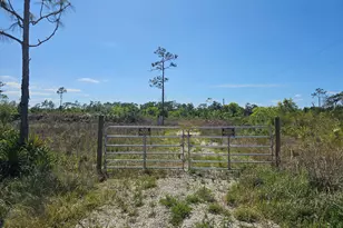 0 Harris Rd, Saint Cloud, FL 34773 - Photo 1