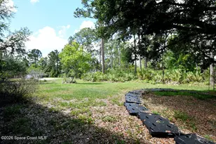 3025 Fawn Lake Blvd, Mims, FL 32754 - Photo 26