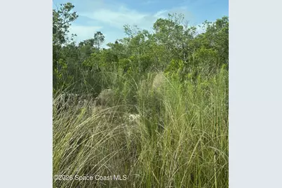 0 Jason Ave Avenue, Cocoa, FL 32926 - Photo 4