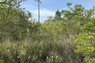 0 Unknown Ave, Cocoa, FL 32926 - Photo 1