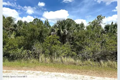 608 Lynn Street SW, Palm Bay, FL 32908 - Photo 1