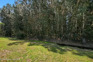421 Papaya Cir, Barefoot Bay, FL 32976 - Photo 24